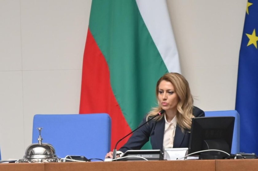 референдумът радев еврото влиза парламента bdquoразмразяванеldquo процедурата рая назарян