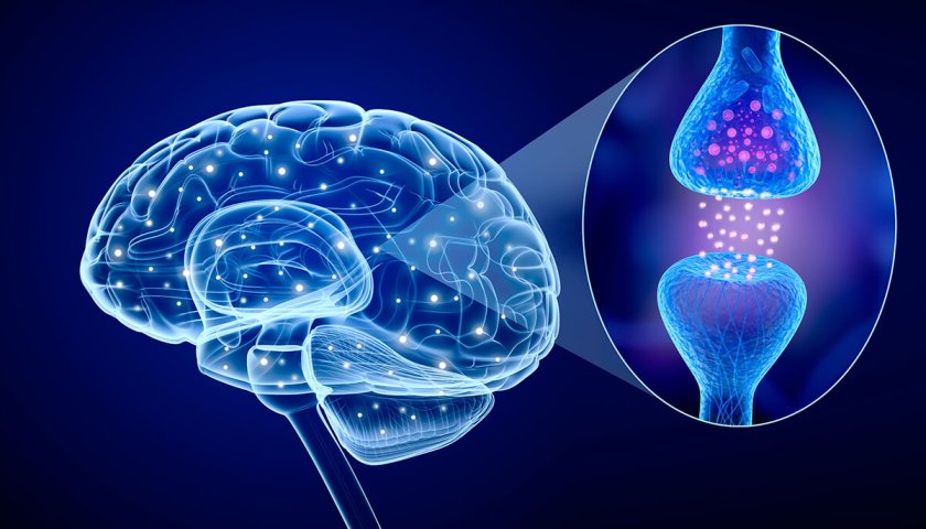 учени разкриха хранителен дефицит отключи множествена склероза