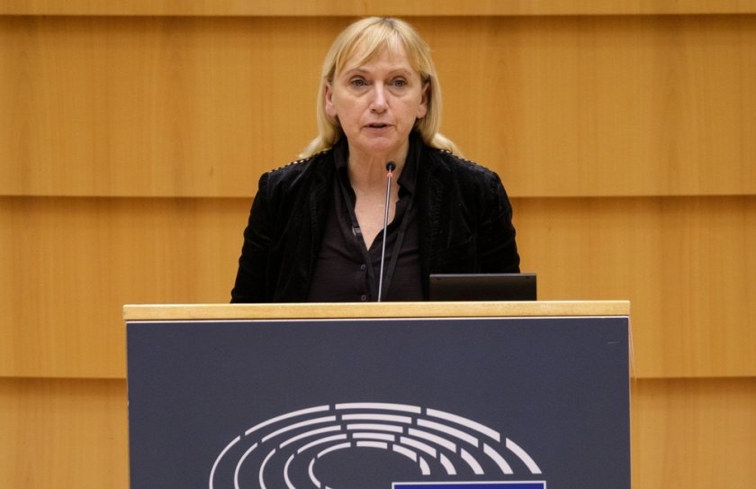 елена йончева обвинения натиск избиратели незаконни арести българия
