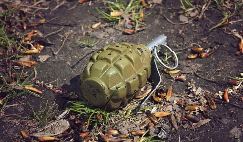 военни обезвредиха ръчна граната открита дунав снимка