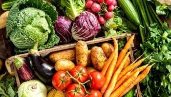 плодовете зеленчуците продължават поскъпват