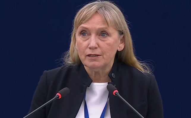 елена йончева алармира българските избиратели подложени безпрецедентен натиск мвр