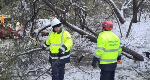 столична община ифнормация извършените дейности щетите снеговалежа
