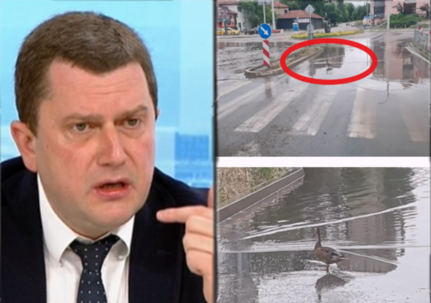 некадърност кметът перник развъди патици локвите неремонтирани течове