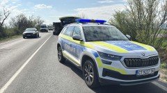 нов случай жестокост животни разследват смъртта кученца