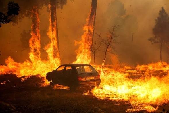 Близо 200 000 души са евакуирани заради горските пожари в Испания и Франция
