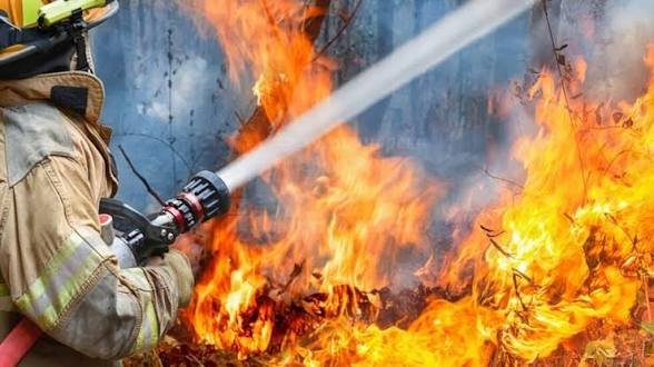 Трагедия в Конго: 22 души загинаха на сватба
