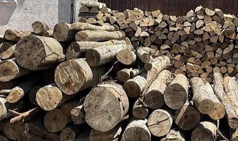 22 000 души без доходи ще получат наведнъж помощта за отопление с дърва