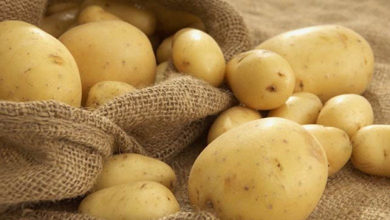 бабх започва извънредни проверки картофите големите търговски вериги