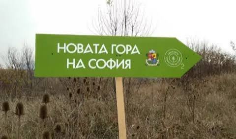 Столичната община пуска временна автобусна линия до залесителната кампания край Банкя