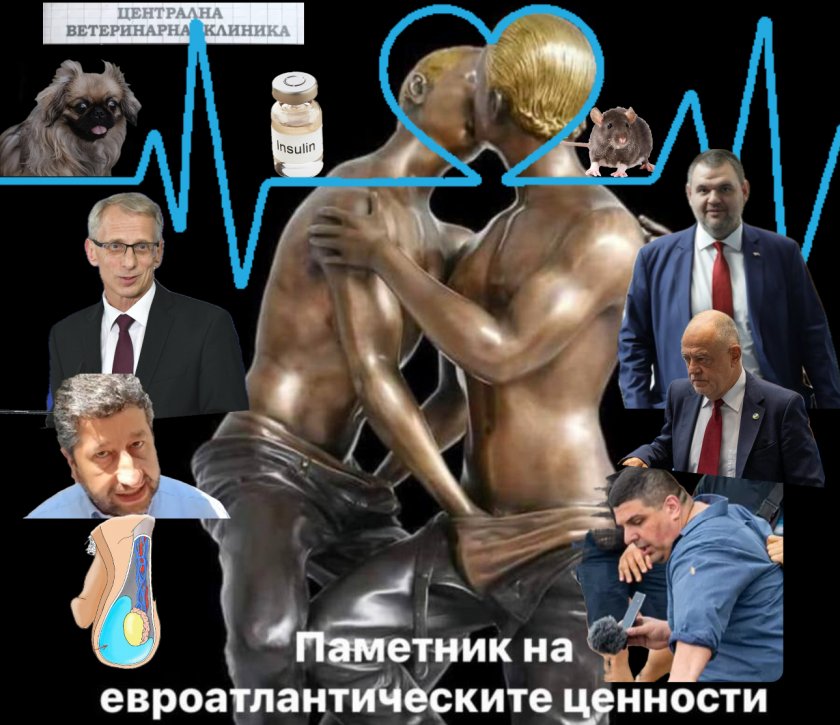 добро утро животни шоуто зоопарка