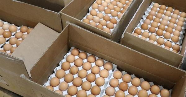 измама продават украински яйца месо румънска стока