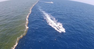 Защо водите на Атлантически и Тихия океан не се смесват? (ВИДЕО)