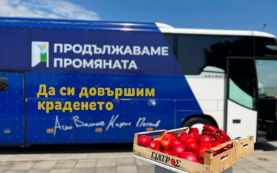 РАЗСЛЕДВАНЕ НА MEDIAMALL: Държава с отпаднала необходимост (Документ)