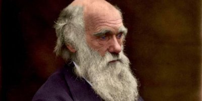 Международен ден на Дарвин - Ден на еволюцията