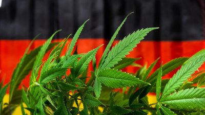 Германия е на път да легализира марихуаната за развлекателни цели