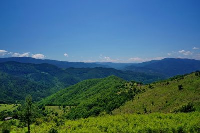 Мъртви животни и редки видове птици са открити в Западна Странджа