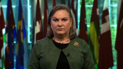 Беше ли уволнена Нюланд заради ролята й в краха на Украйна?