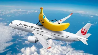 Вижте какво означава &ldquo;веганска закуска&rdquo;, според &ldquo;бизнес класата&rdquo; на Japan airlines (СНИМКА)