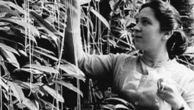 Първоаприлската измама на BBC от 1957 г. е по-актуална от всякога