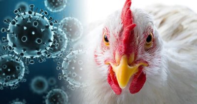 ИЗВЪНРЕДНО: Човечеството е заплашено от нова смъртоносна пандемия