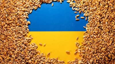ЕС постигна споразумение за по-строги ограничения върху вноса на някои селскостопански продукти от Украйна