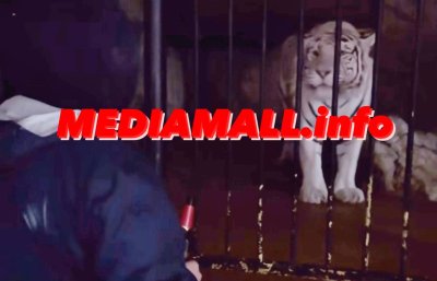 СИГНАЛ ДО MEDIAMALL: Щурмуваха зоологическата градина в София (ВИДЕО)