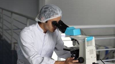 Учените намериха начин да възстановят нервните клетки