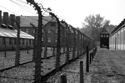 Туристите се смеят и си правят селфита в музеите на концентрационните лагери и не само