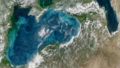 Защо Черно море променя цвета си