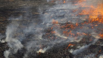 Два пожара избухнаха в Сакар планина
