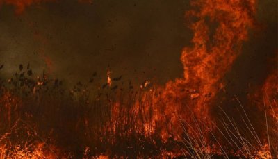 Червен код за опасност от пожари в Северна България
