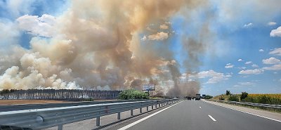 Пожар гори в близост до АМ "Тракия"