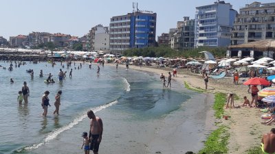 Откриха &bdquo;ешерихия коли&ldquo; във водите на Кранево