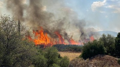 Пожар е избухнал днес на остров Лесбос