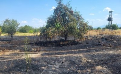 Нов пожар пламна до Пловдив