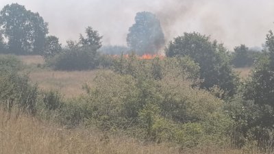 ИЗВЪНРЕДНО! Огънят в с. Воден отново се разгоря, пожар пламна и до Цапарево