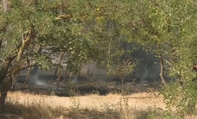 Пожари продължават да горят на различни места в България