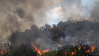 Пожар избухна в планината над Сандански