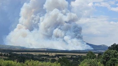 Пожарът в Свиленградско е един от най-големите в България за последните десетилетия