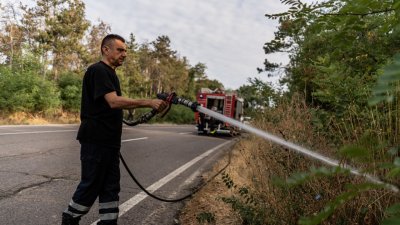Пожарът в района на селата Ваксево и Фролош в Кюстендилско е овладян
