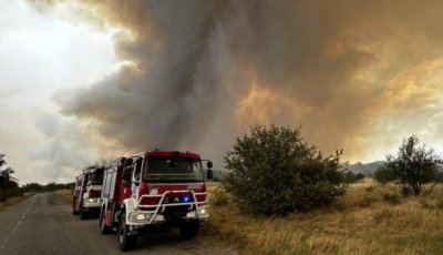Общо 151 пожара са ликвидирани в страната през последното денонощие