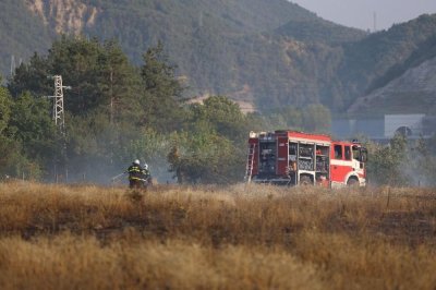 Пожарът в Кресненското дефиле е потушен
