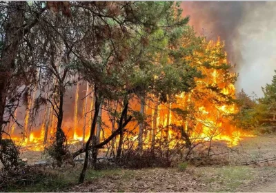 Бедствено положение в Харманли и Тополовград