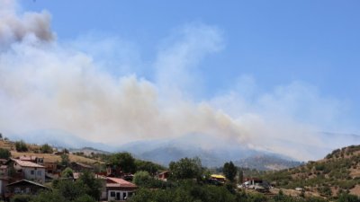 Овладяха пожара на Витоша