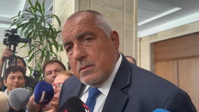 Бойко Борисов: Събират се по лаборатории и апартаменти да правят заговори срещу Рая (ВИДЕО)