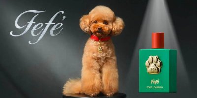 &ldquo;Dolce & Gabbana&rdquo; създадоха парфюм за кучета