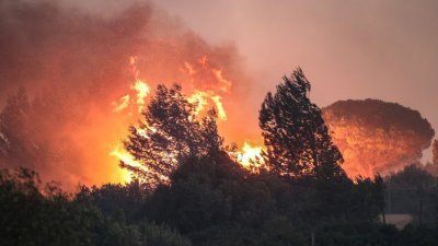 Голям пожар гори до българо-турската граница