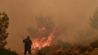 Много области на страната ще бъдат в повишен риск от пожари през следващите два дни