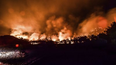 Пожарите в съседна Турция продължават да се разрастват (ВИДЕО)